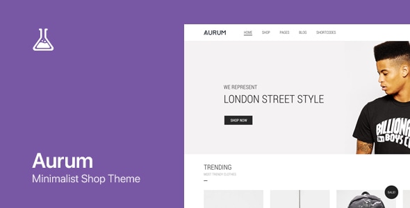 Aurum - WordPress & WooCommerce Shopping Theme Logo